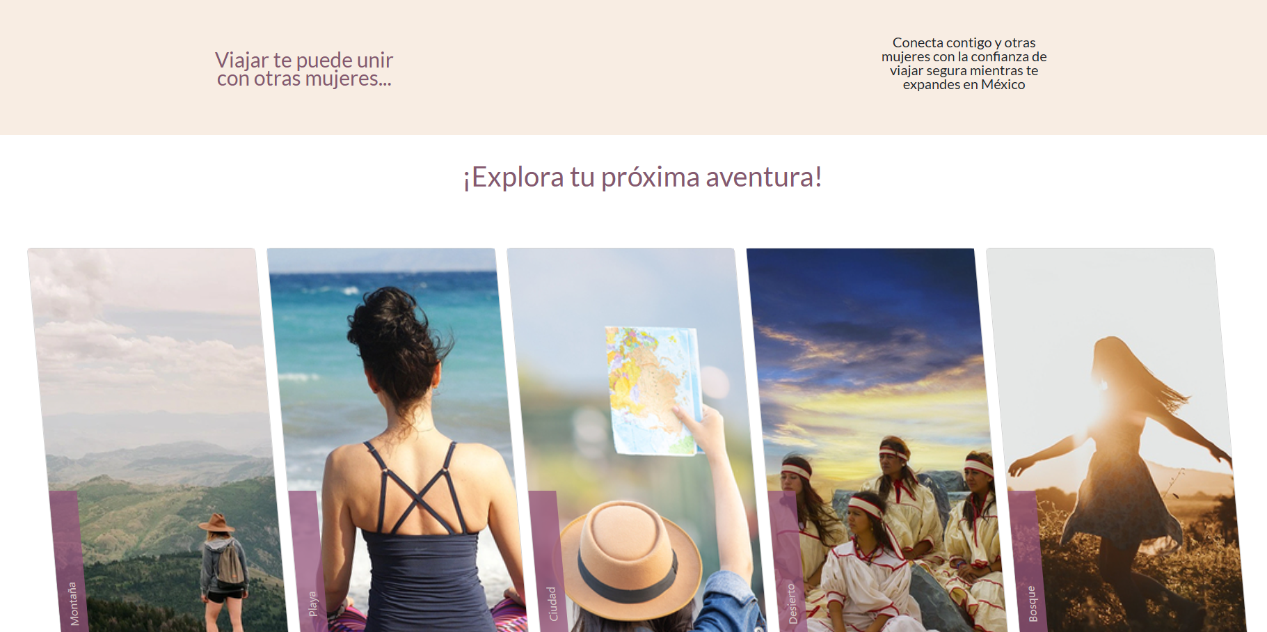 Web Project 2